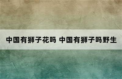 中国有狮子花吗 中国有狮子吗野生